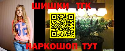стаф Гусев