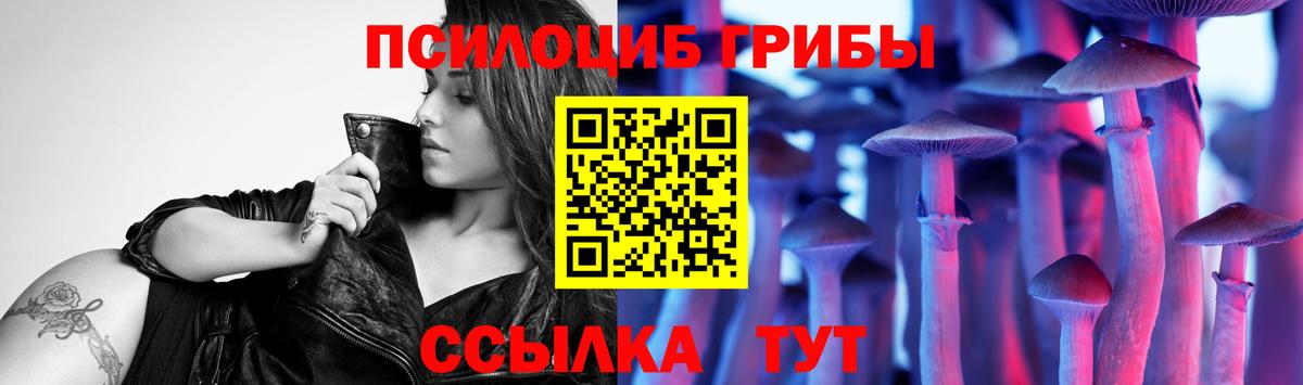 Галлюциногенные грибы мицелий  Вход с VPN  Тобольск 